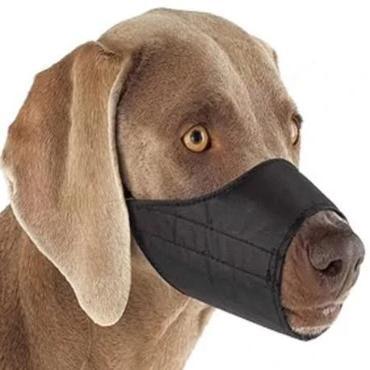 Nylon Dog Muzzle