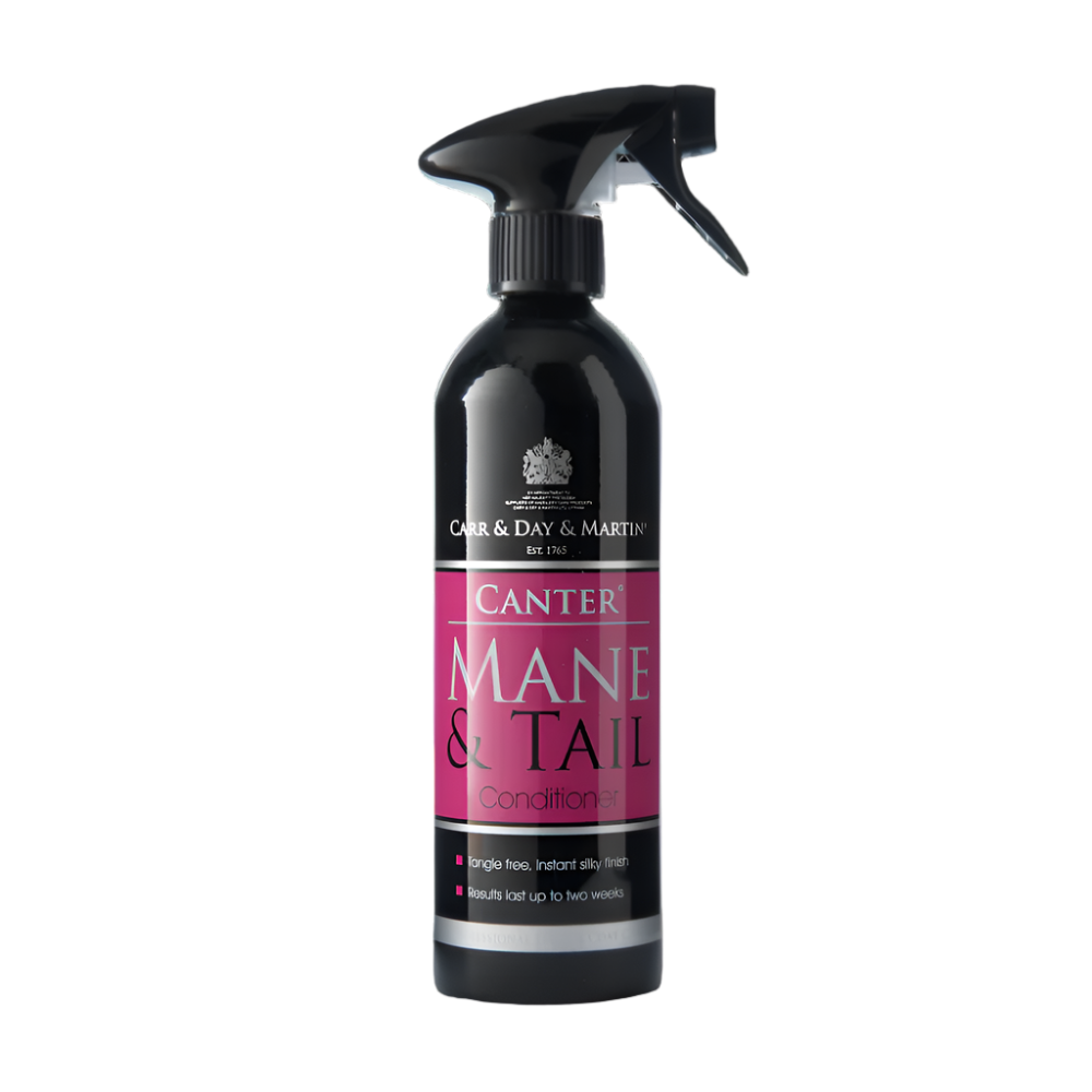 CANTER MANE & TAIL | CDM | UAE | AL ZARRAB