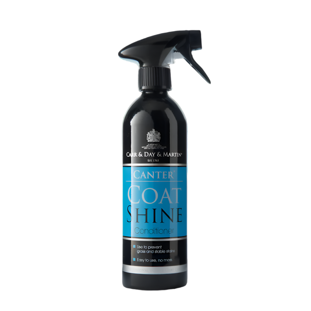 CANTER COAT SHINE | CDM | UAE | AL ZARRAB