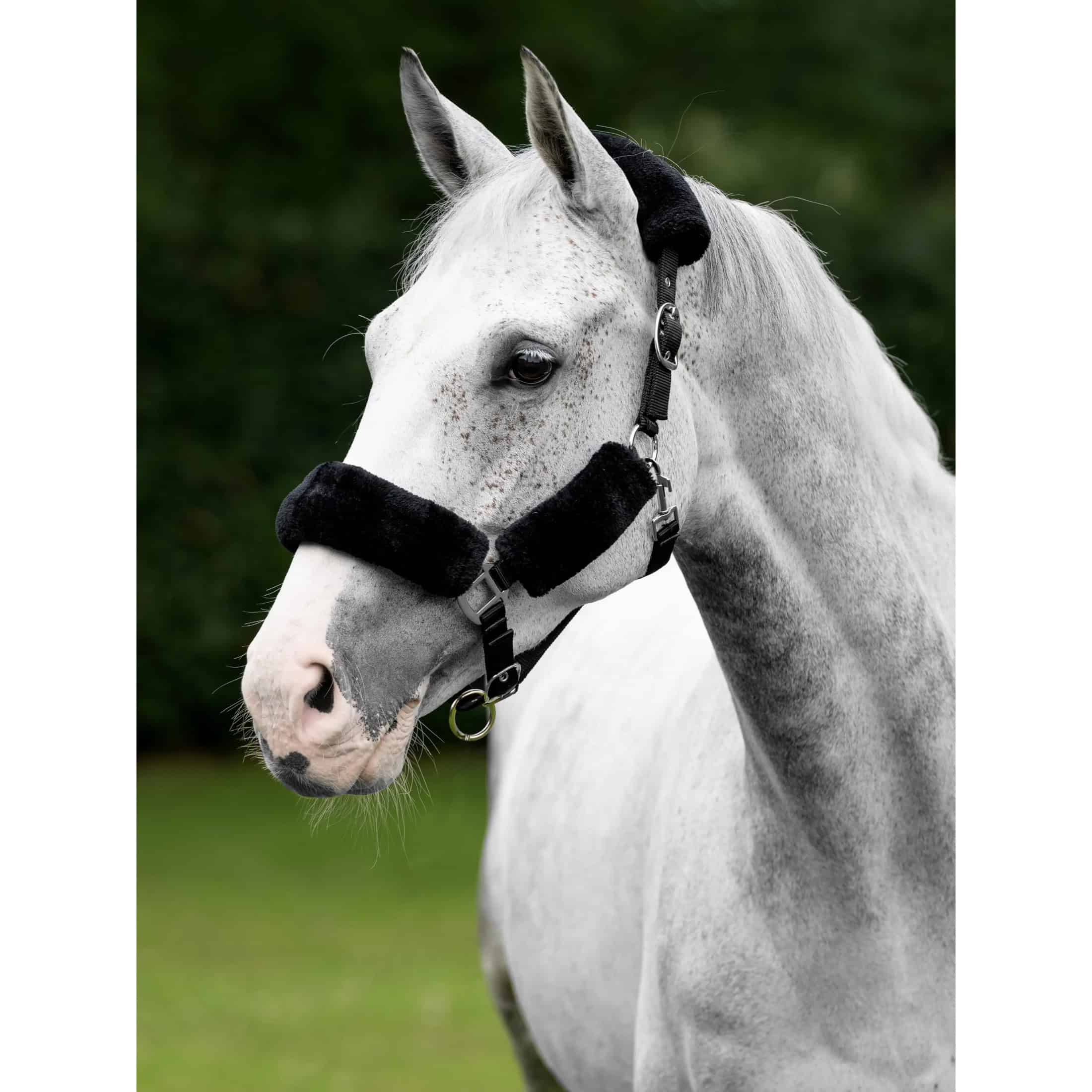 LeMieux Comfort Headcollar