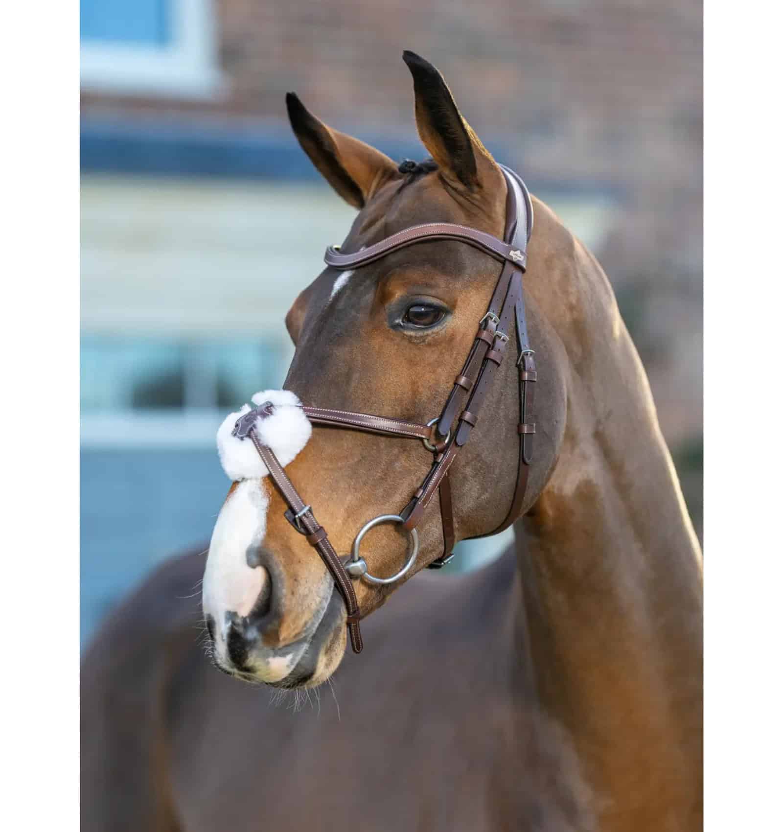 LeMieux Arika Grackle Bridle