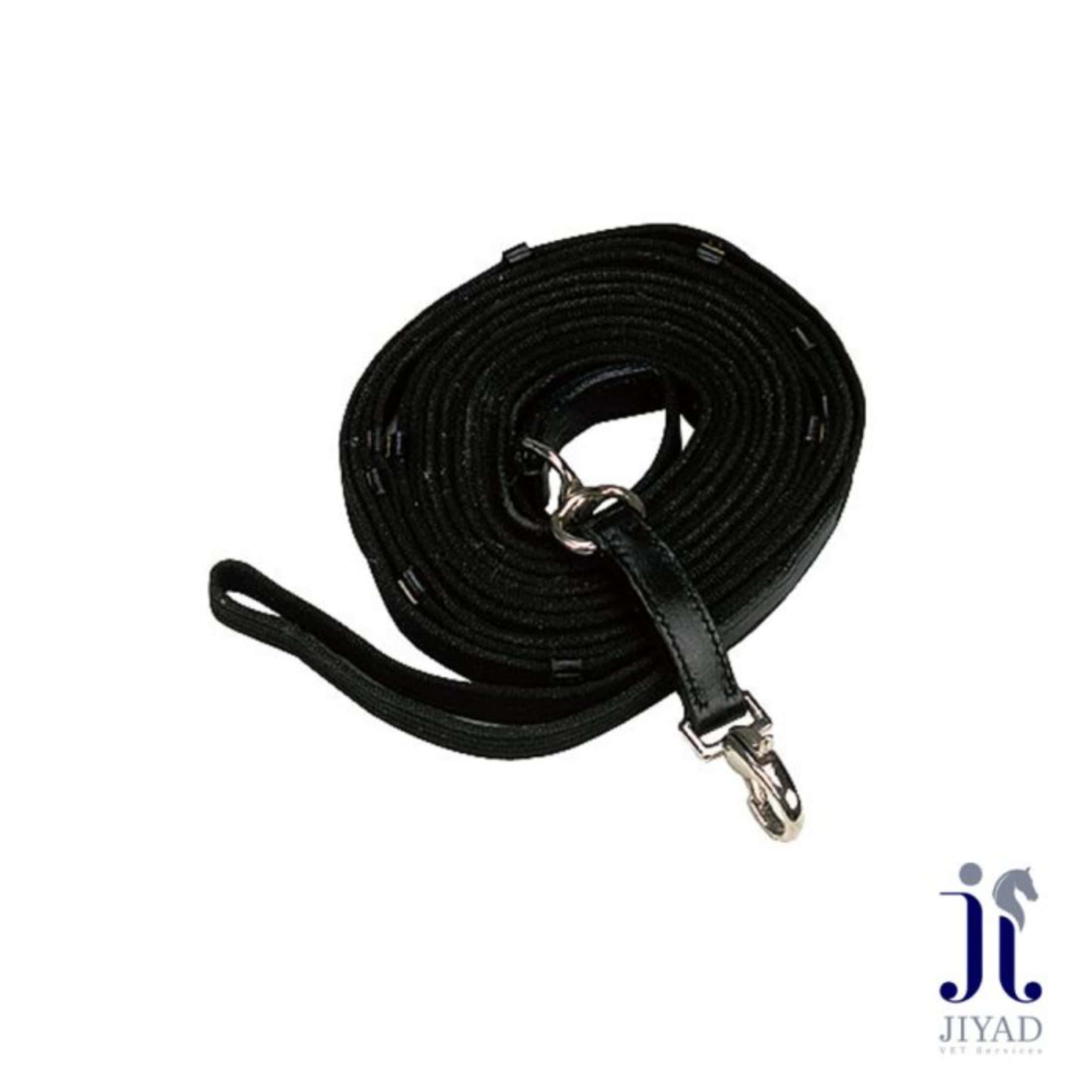 Norton Web Lunging Line – 10M