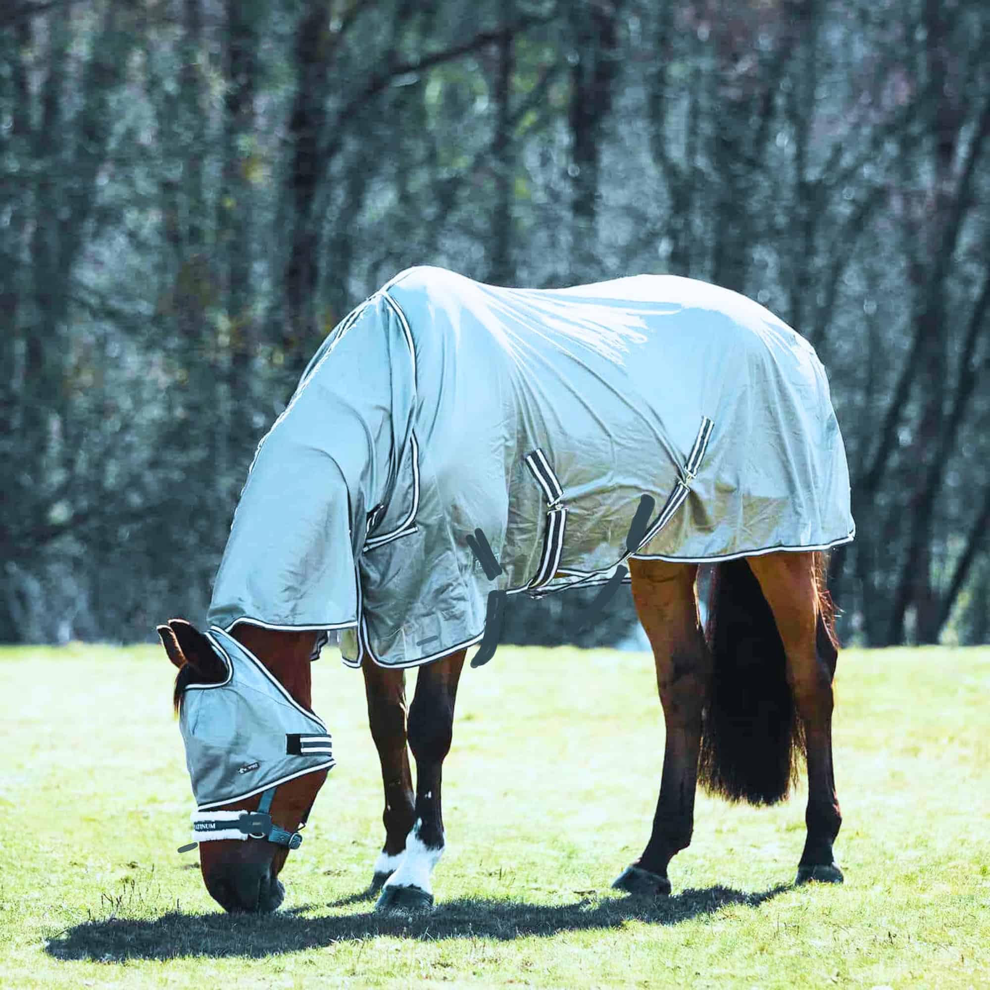 Equivia Arizona Fly Rug Set