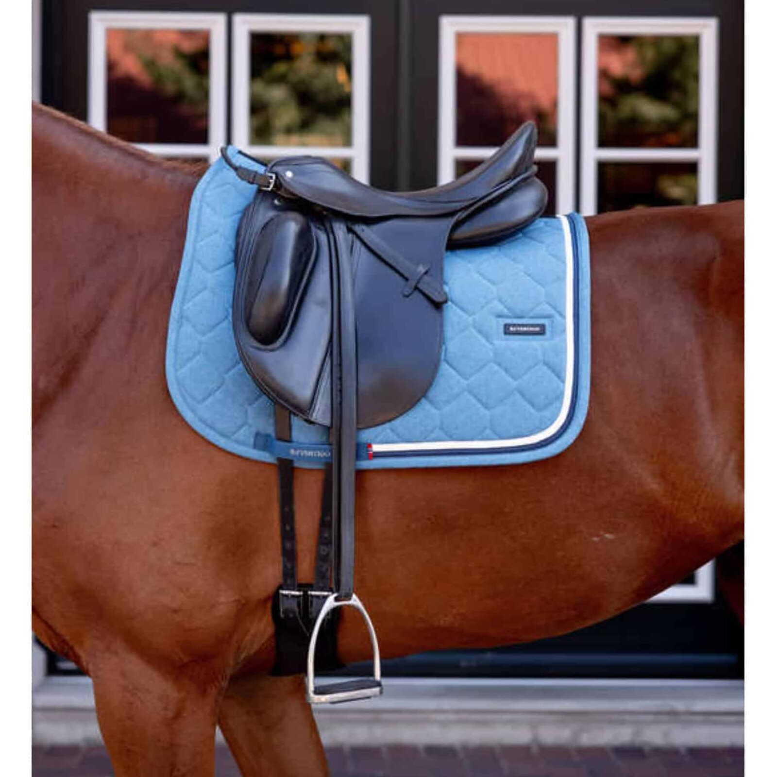 B Vertigo High Altitude Dressage pad