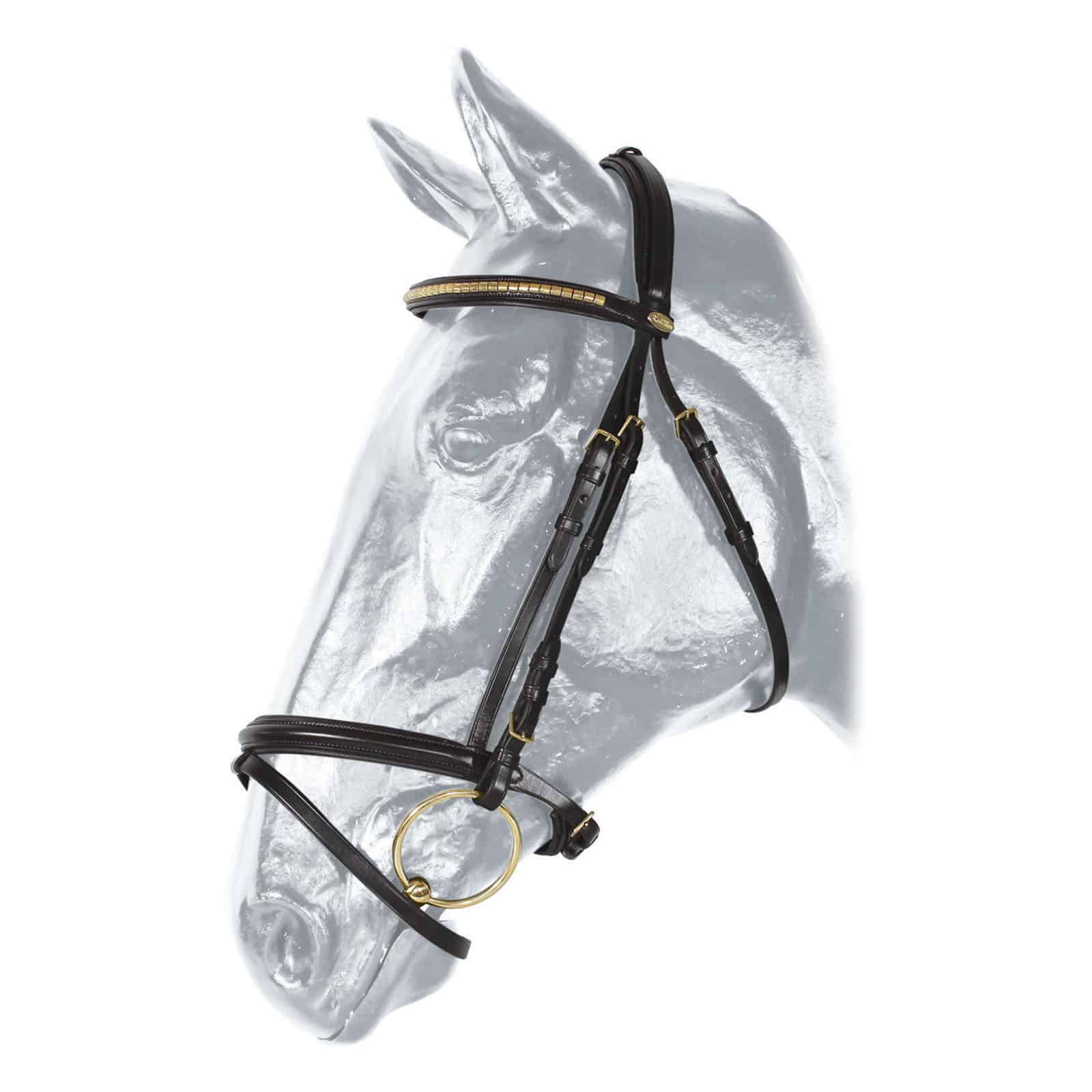 Kentaur Madison Bridle