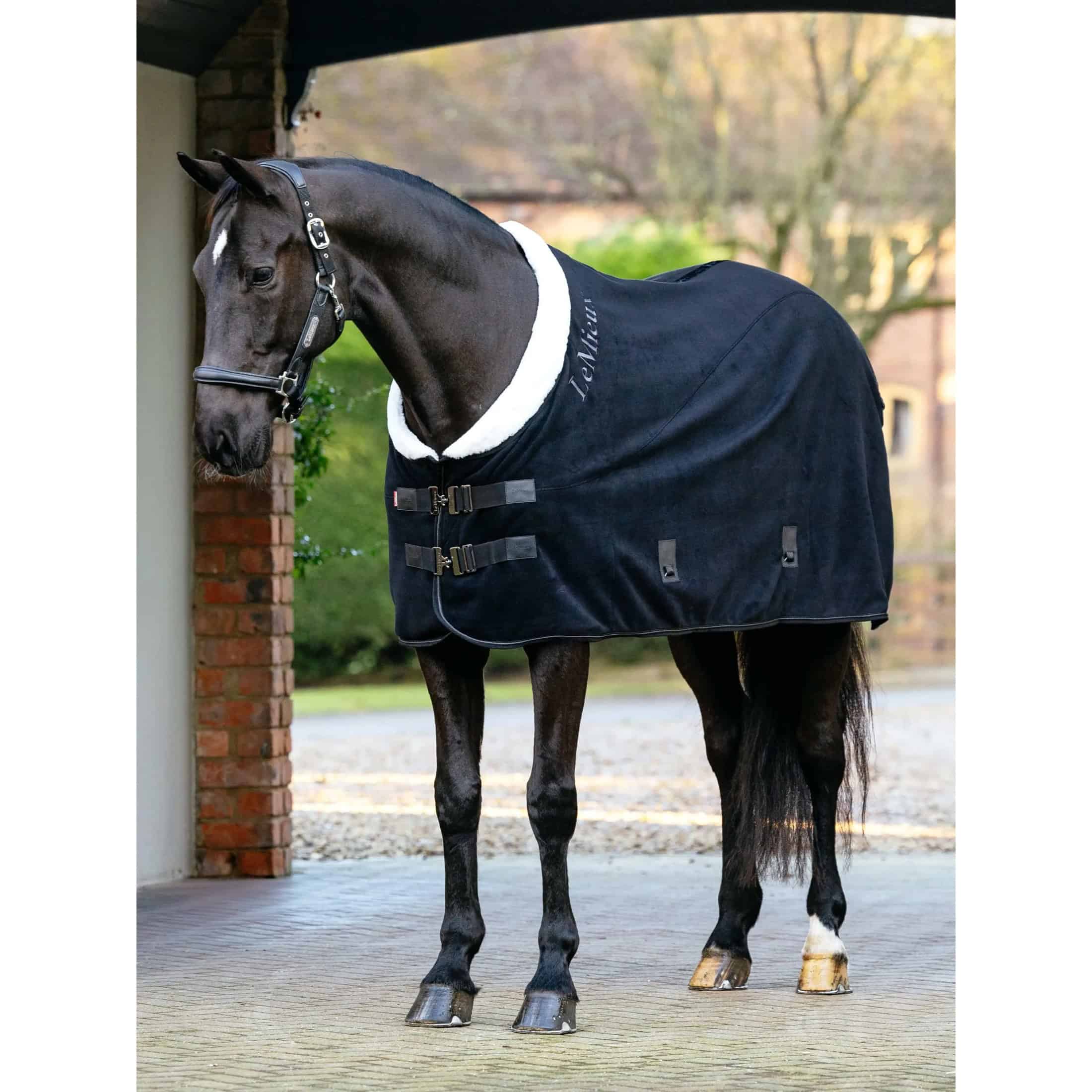 LeMieux Kudos Luxe Fleece Rug