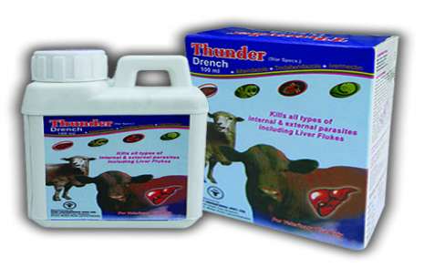 Thunder Drench 100 ml
