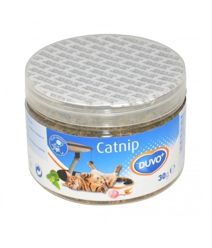 Duvo Catnip Herb 30 G[Weight – 30G]