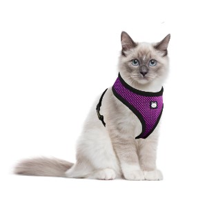 CAT BODY HARNESS