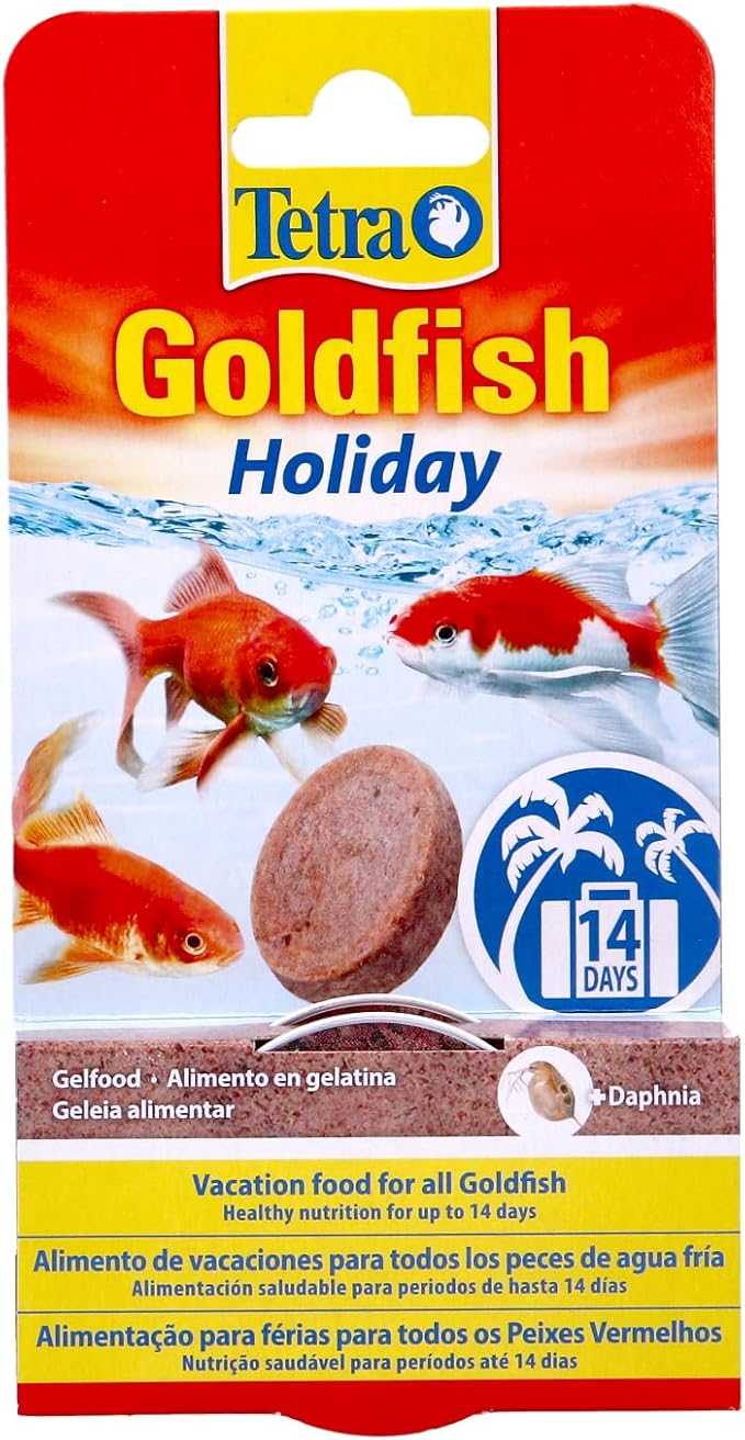 Tetra Goldfish Holiday