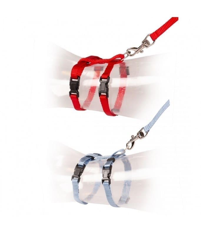 Duvo Kitten Walking Set Uni Mixed Colors 15 – 25Cm / 8Mm – 125Cm[Dimension – 15-25Cm X 125Cm X 8Mm]