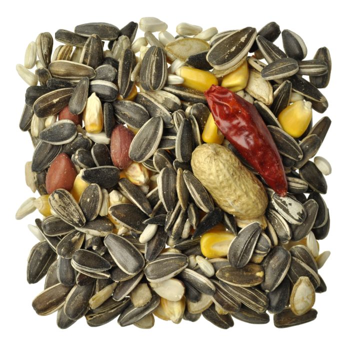 African Gray Special Seed Mix - Bio-Security Treated Seeds
