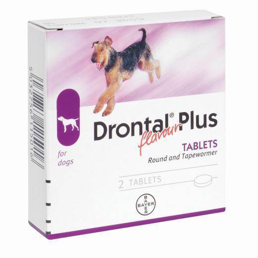 Drontal Plus for Dogs (1 Tablet)