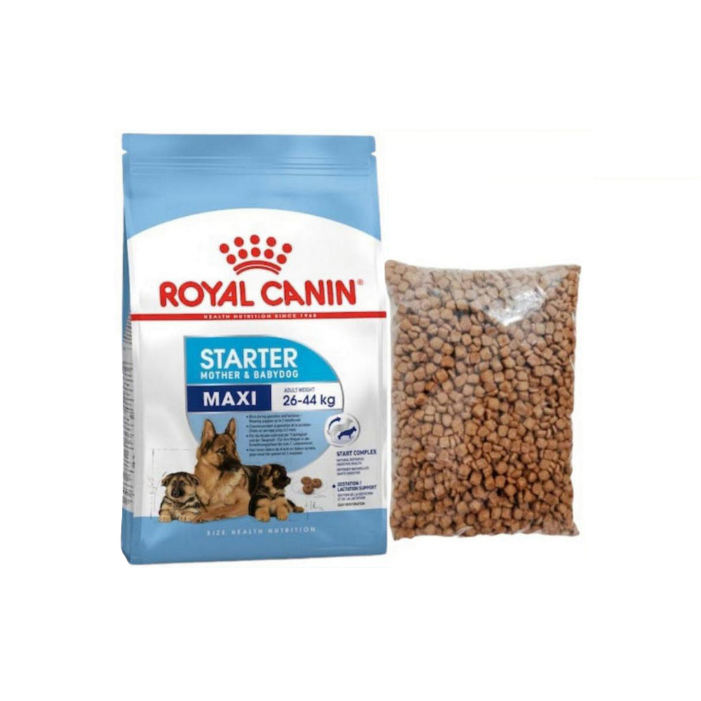 Royal Canin Maxi Starter Mother &amp; Babydog Food