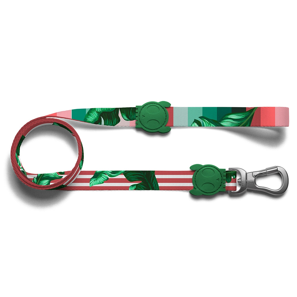 ZEE.DOG Bali Leash (XS)