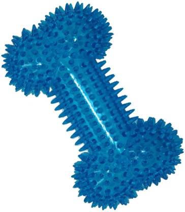 Squeaky bone With Light