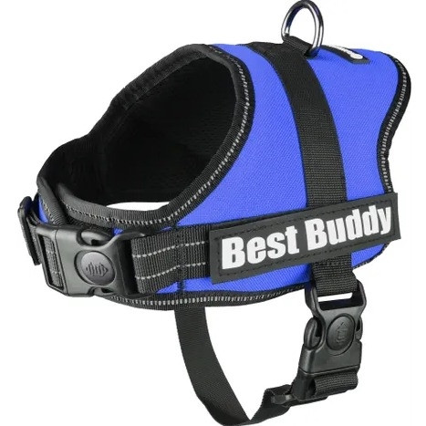 Dog Harness Pluto Blue S 40-51cm 50-70cm 12cm 25mm