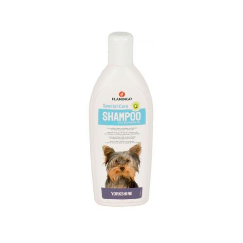 SHAMPOO CARE YORKSHIRE