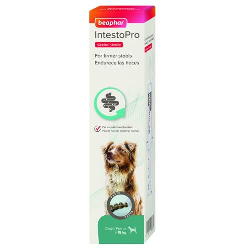 INTESTOPRO ANTI DIARRHEA PASTE SYRINGE LARGE DOG 2 X 20ML