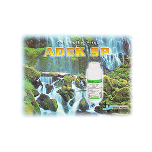 Adek SP