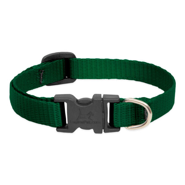 BASICS Adjustable Collar GREEN 3/4Inch FOR MEDIUM DOGS