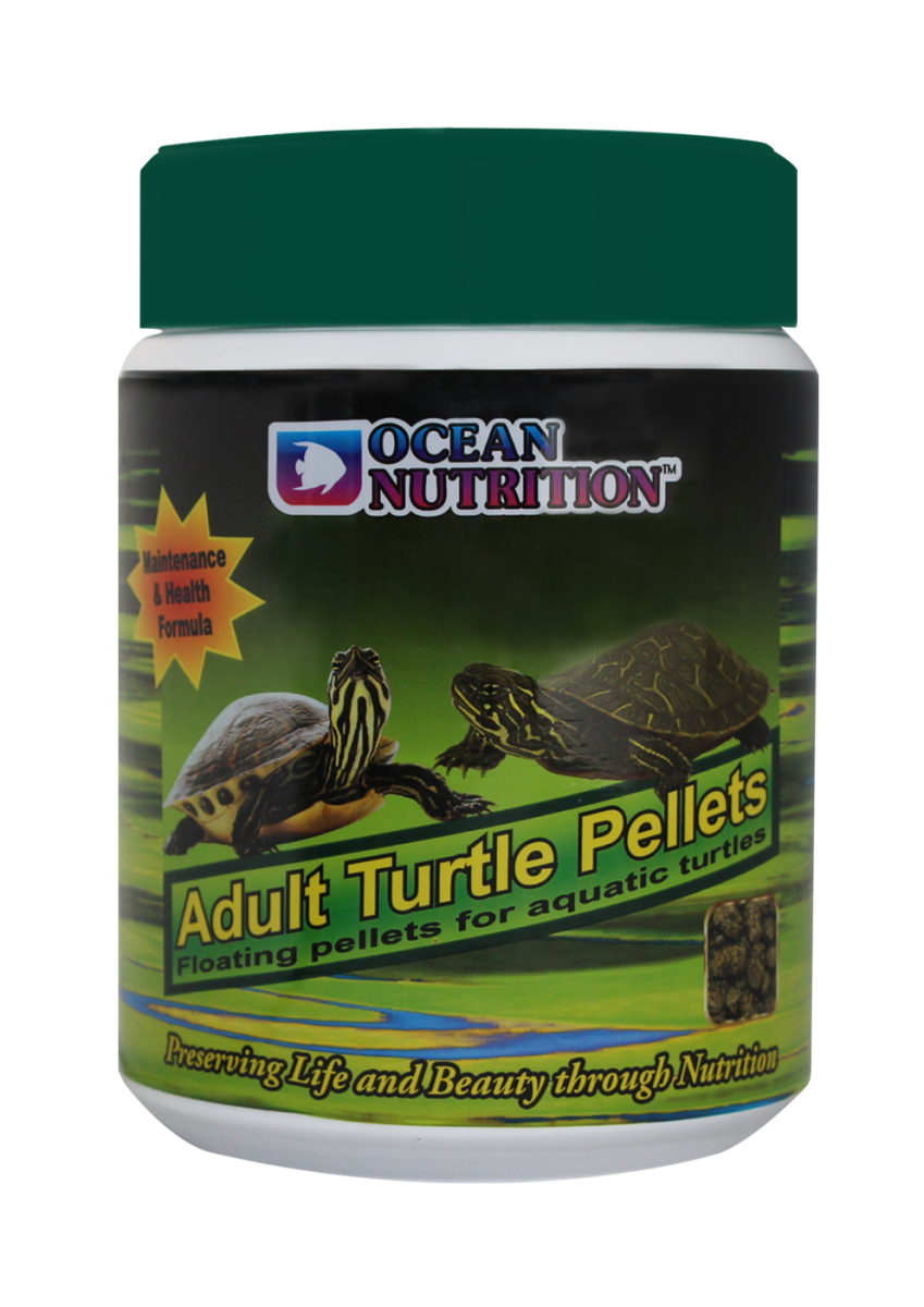 Adult Turtle Pellets 240 g