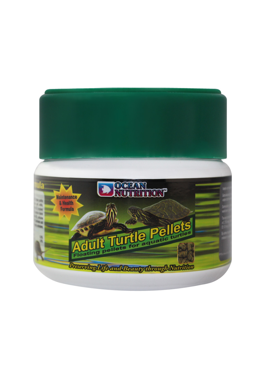 Adult Turtle Pellets 60 g