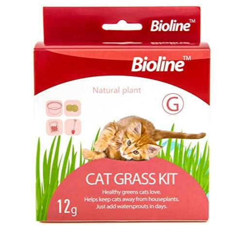 BIOLINE CAT GRASS KIT 12G