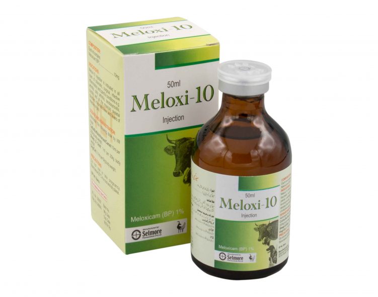 Meloxi-10 Injection