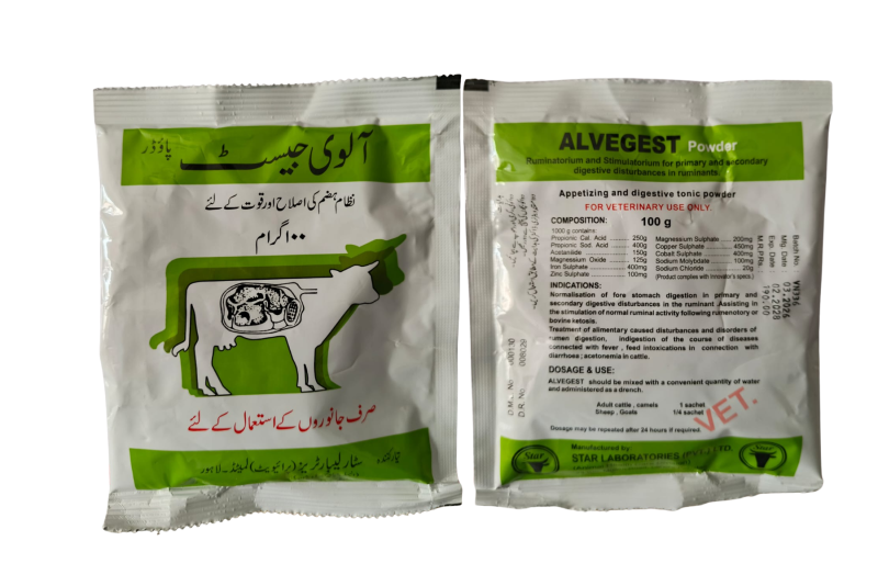 Alvegest Powder 100 gm
