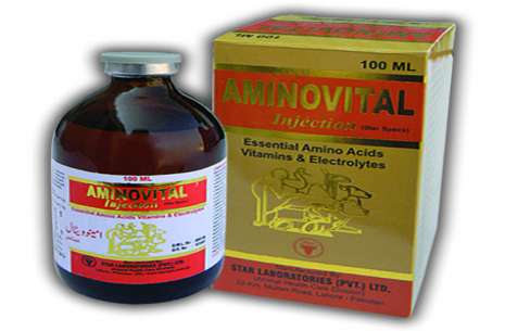 Aminovital Injection 50 ml