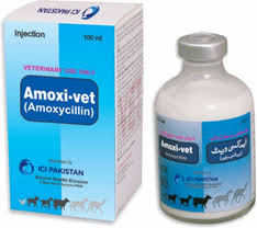 Amoxivet Inj. 100 ml