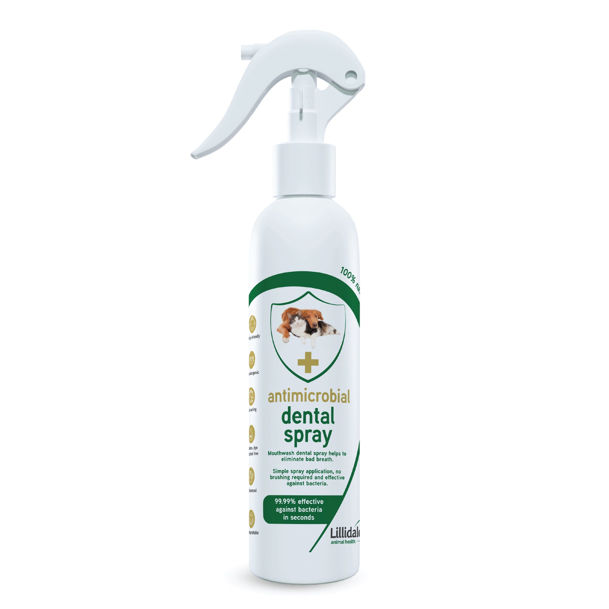 Antimicrobial Dental Spray