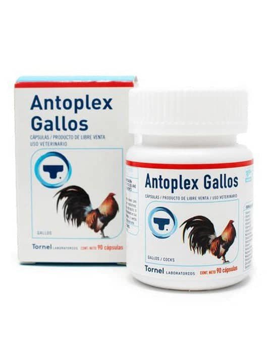 Antoplex Gallos 90 Capsules