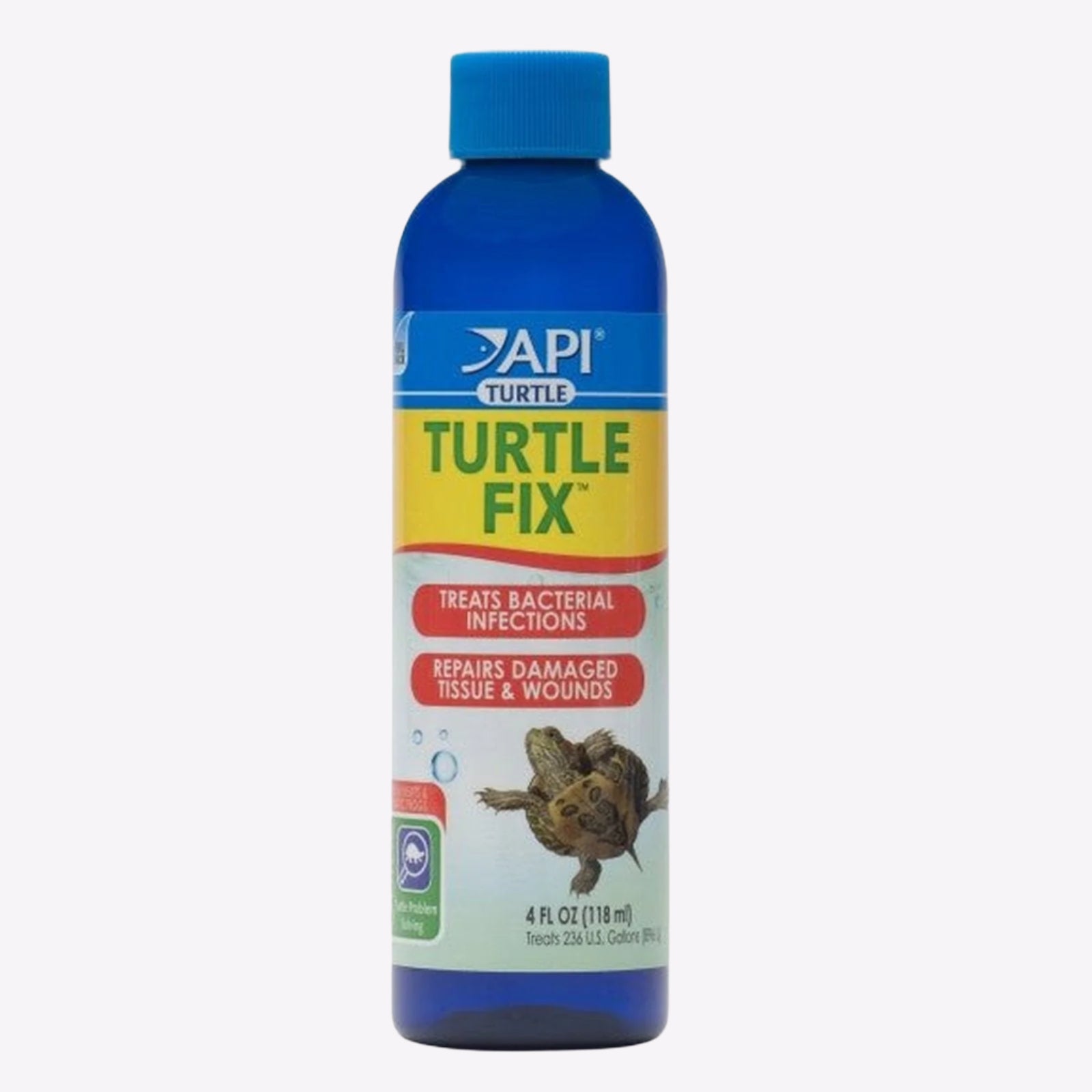 API Turtle Fix