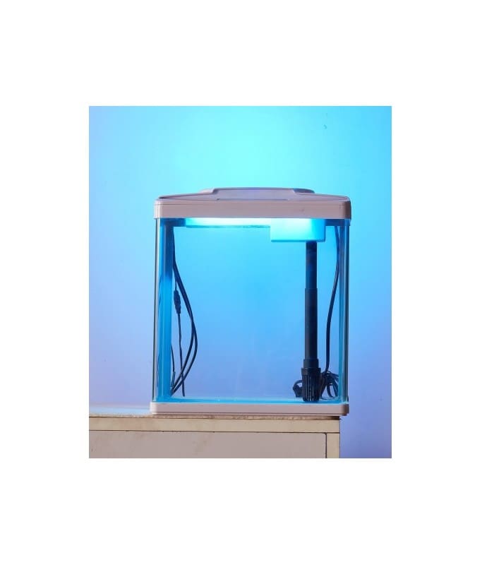 Karis Aquarium [Dimension – 285 X 180 X 350Mm]