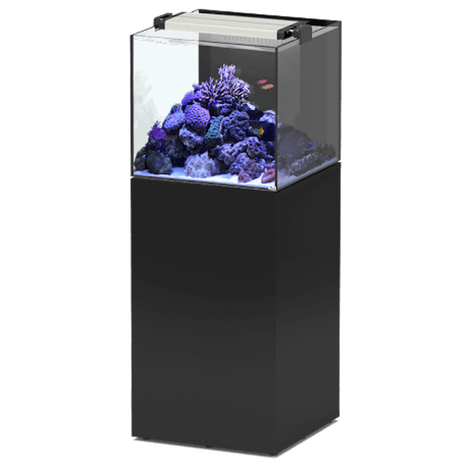 Aquatlantis Aquaview 50 Aquarium + Cabinet 93L 1WD