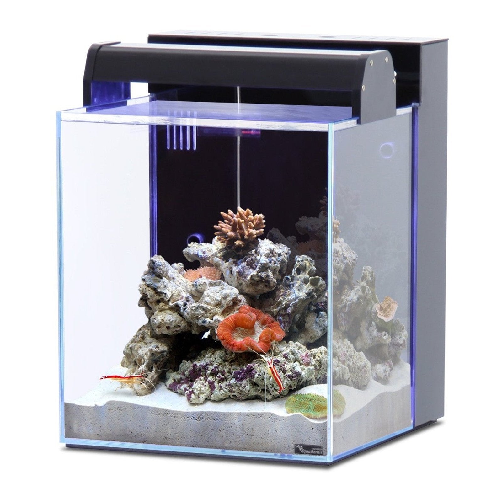 Aquatlantis Nano Marin 40 Aquarium Optiwhite Glass Black