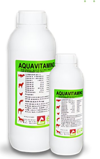 AQUAVITAMINO EURO multivitamin for stress and reproduction