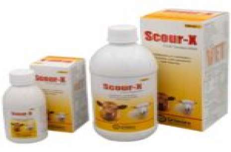 Scour-X Oral Suspension – (Syp) 500 ml