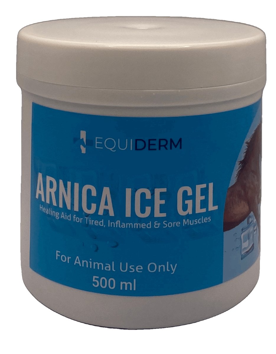 ARNICA ICE GEL 500gm
