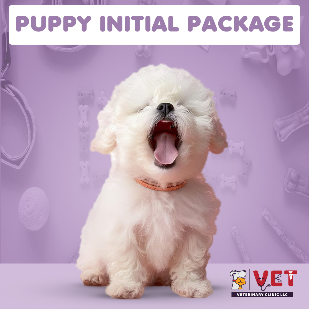 Vet Clinic Puppy initial Package