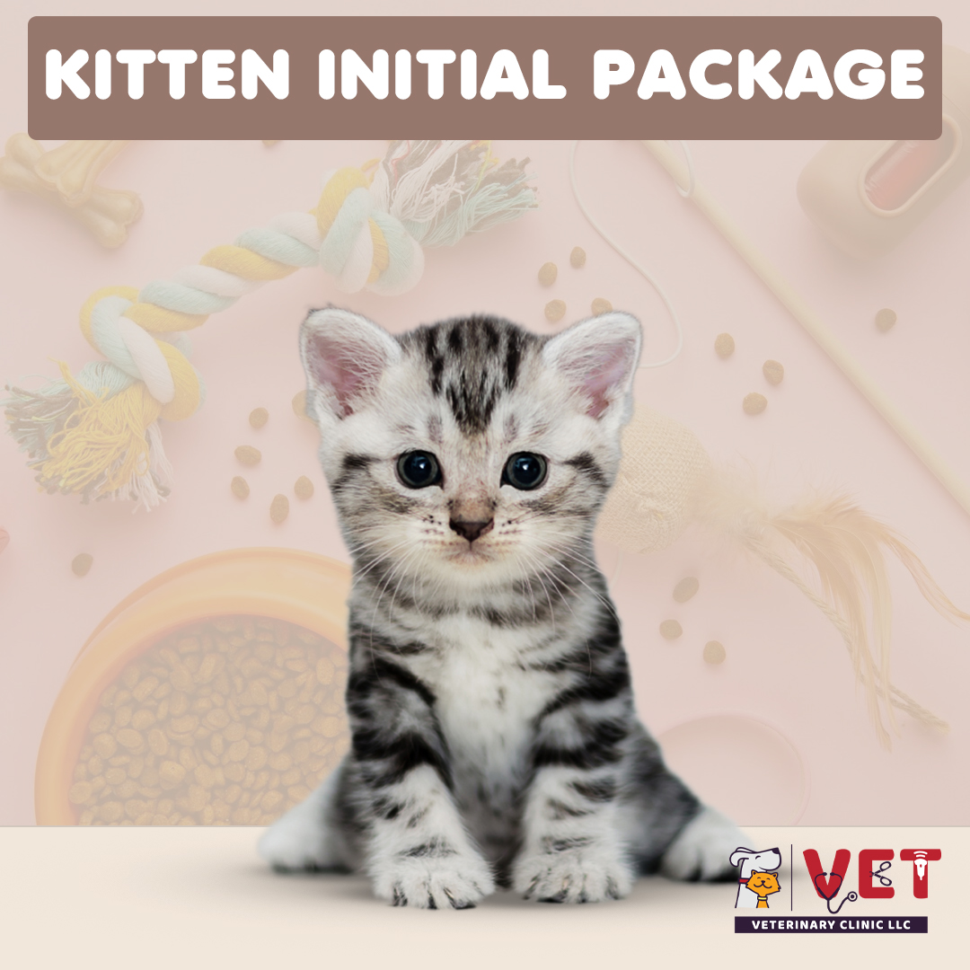 Vet Clinic Kitten initial Package