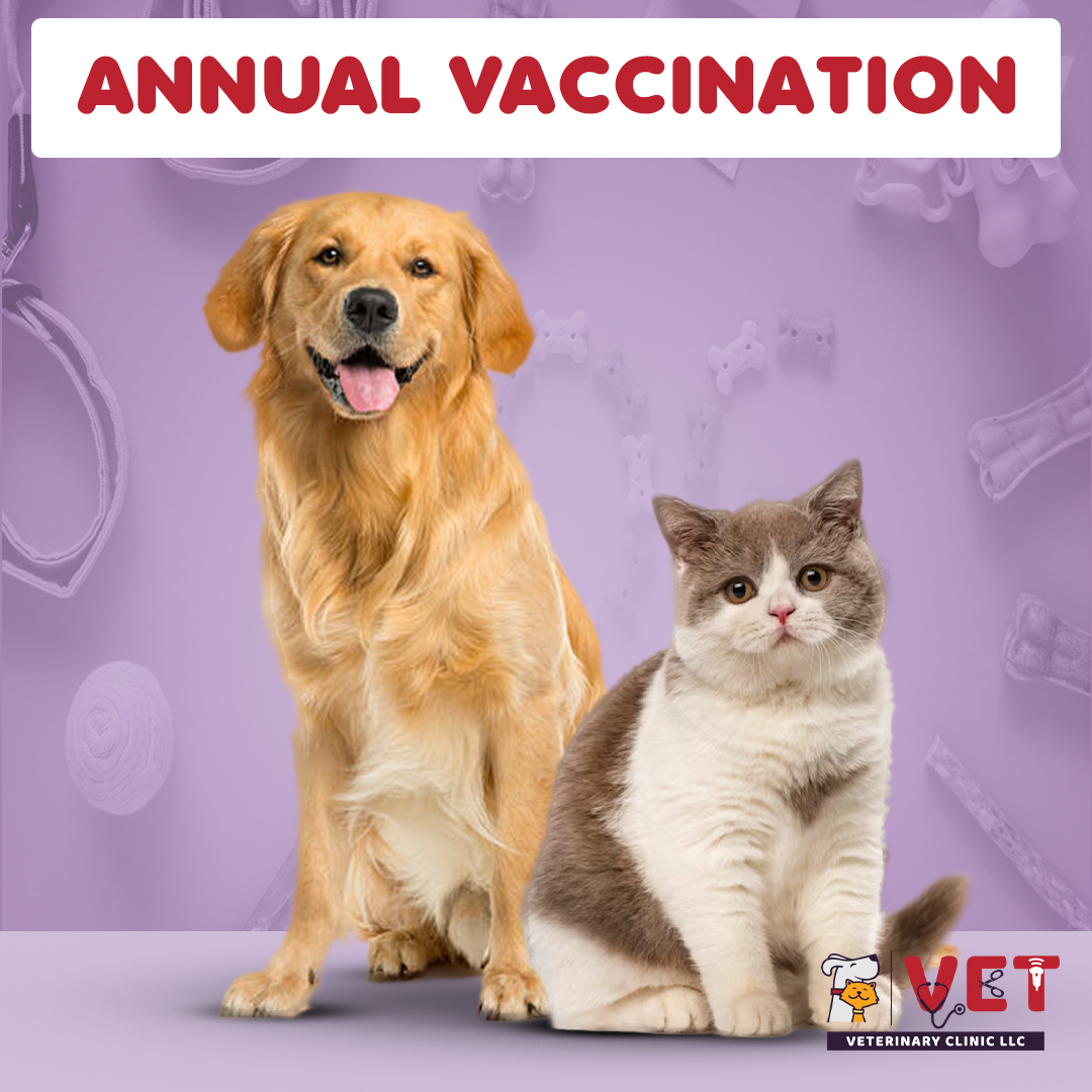 Vet Clinic Annual vaccination cat/dog