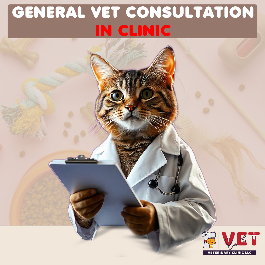 Vet Clinic GENERAL Vet Consultation ( In Clinic)