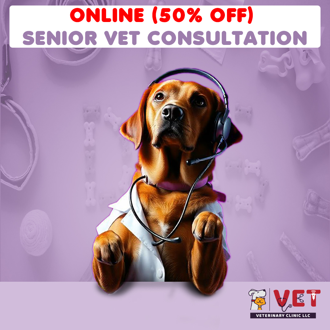 Vet Clinic SENIOR Vet Consultation ( Online )
