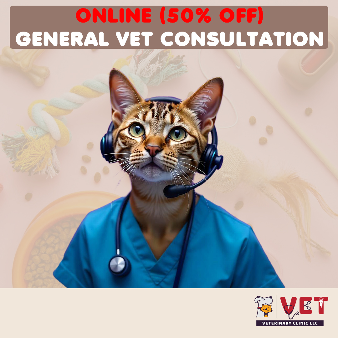 Vet Clinic GENERAL Vet Consultation ( Online )