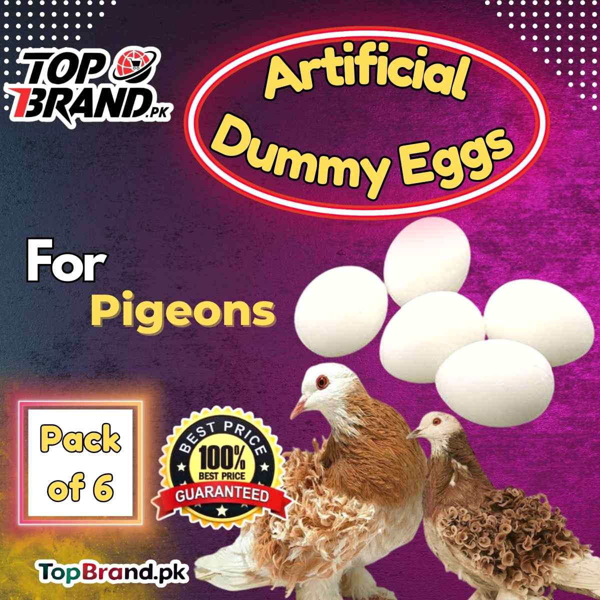 Pigeons Dummy Plastic Eggs