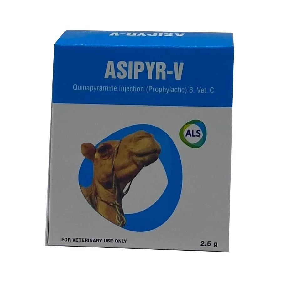 ASIPYR-V 2.5 g for Trypanosompa in Camels