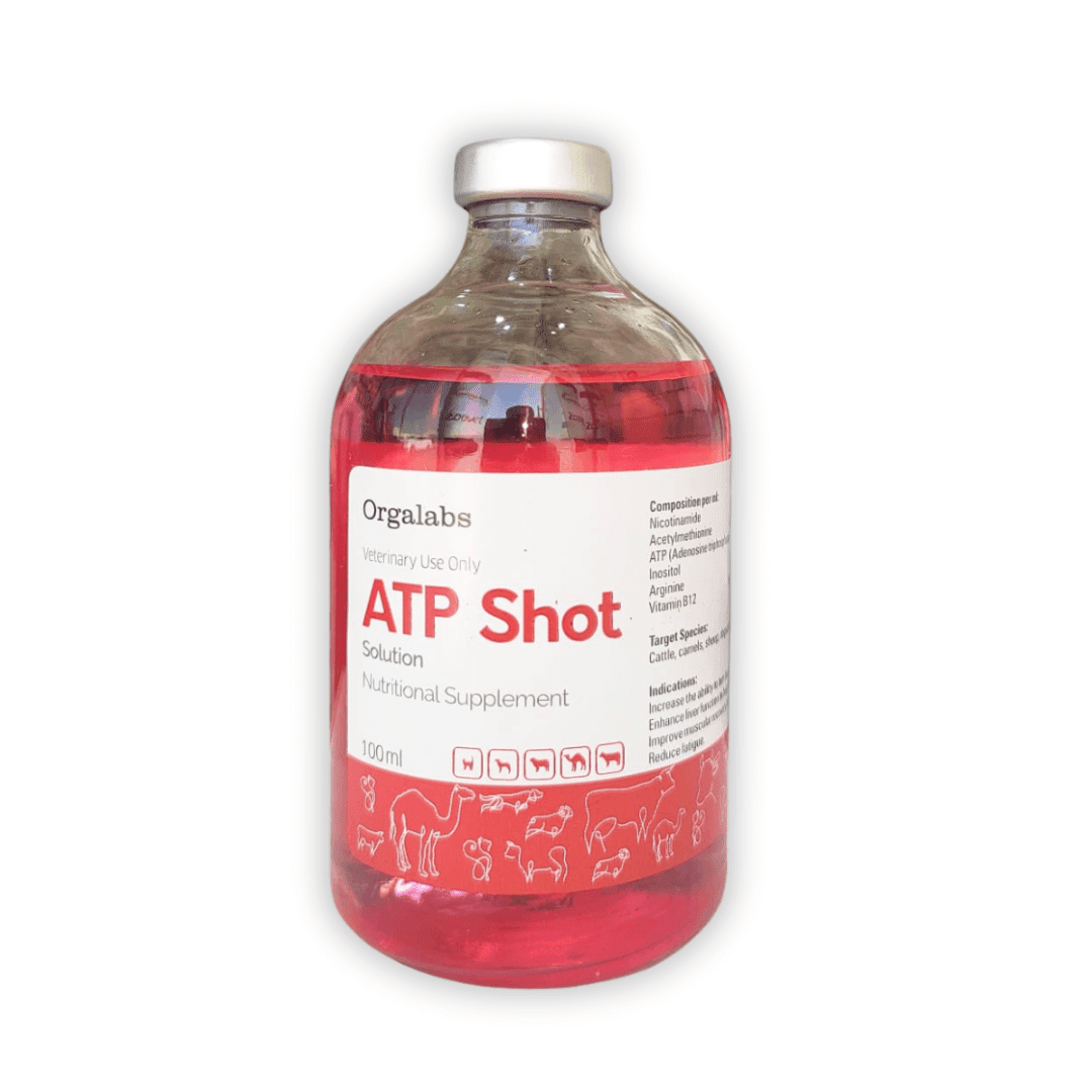 ATP SHOT Solution Energy & Metabolic Booster for Camels & Horses